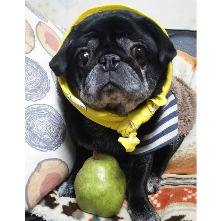 Ad9c417b 123f 4e91 b886 78a905cab665