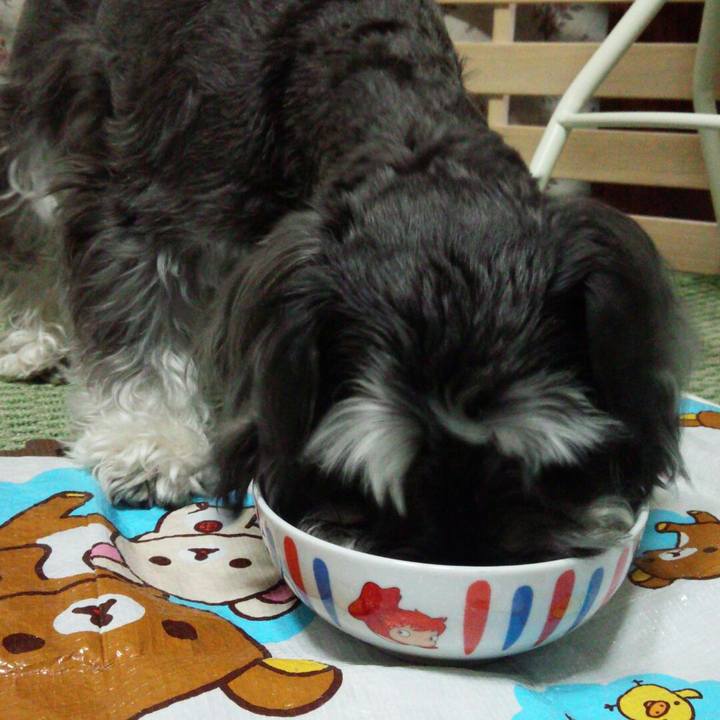 Ad9caf48 09b9 4672 a997 741c8e9d8aa9