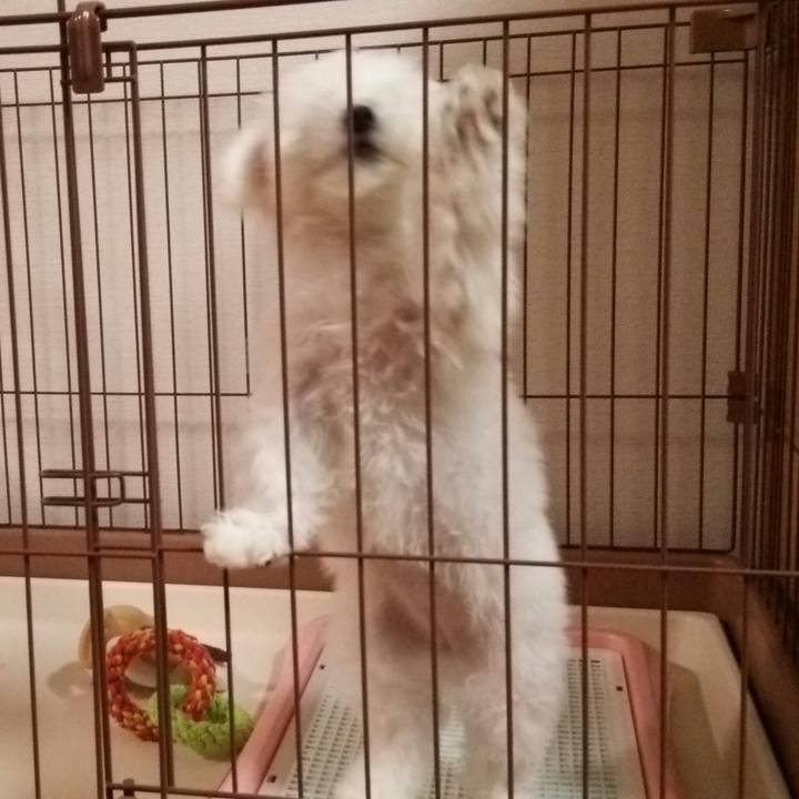 Ad9cd34c 599c 42ff a7dc 068b6a10fd10