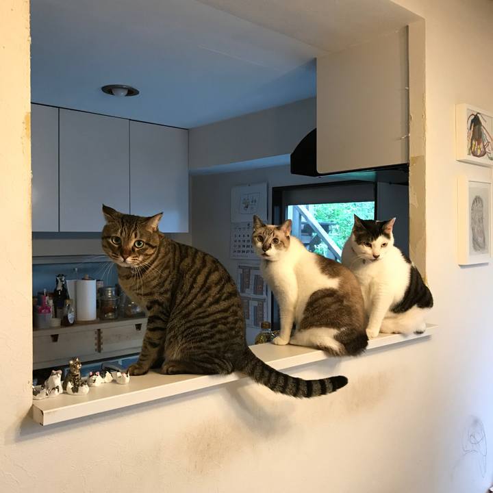 Ad9ce990 df00 487c af07 0a2e5039d2be