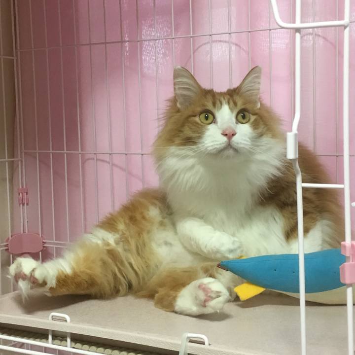 Ad9d14b7 4a34 49d6 a279 276902bf9fe1