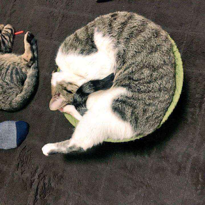 Ad9d28ad 4f00 475f b322 0db7825f01b4