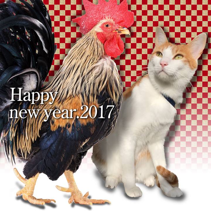 Ad9d8d14 ebb2 451a ae8d 70716c55c72a