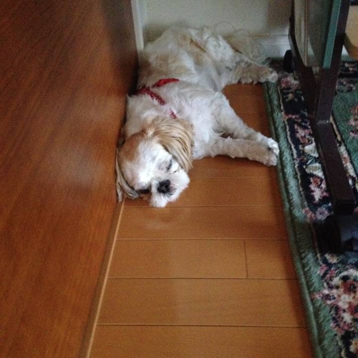 Ad9def3a b2c3 4914 b42e 892511c4c449