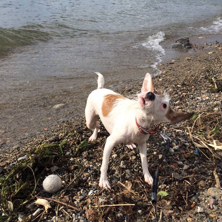 Ad9df64a a7ee 4b32 8a29 23f300ef7439