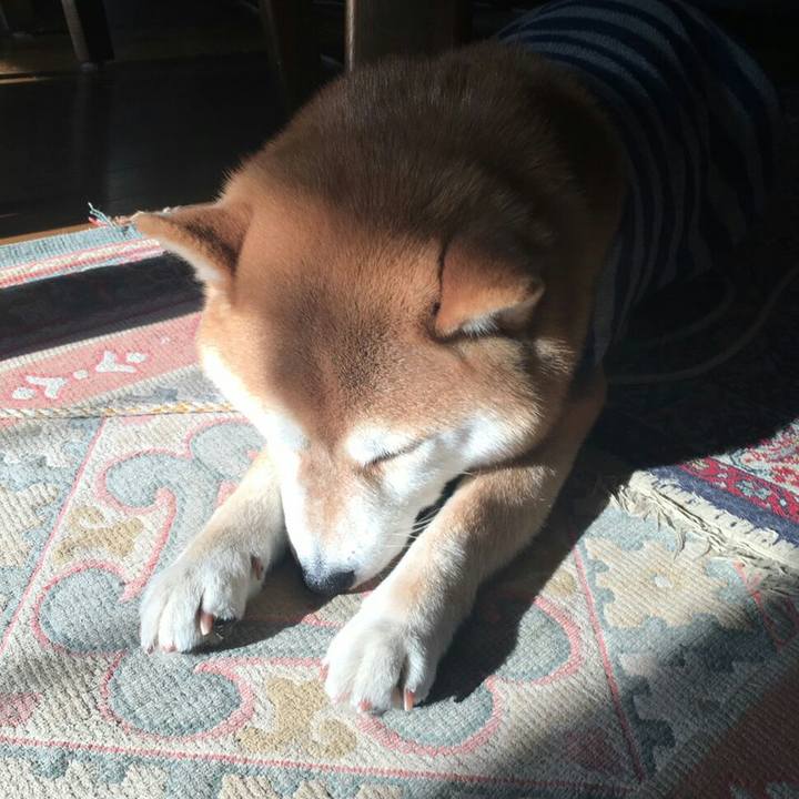 Ad9dfc57 799e 4aff 92ed 176bb352690c