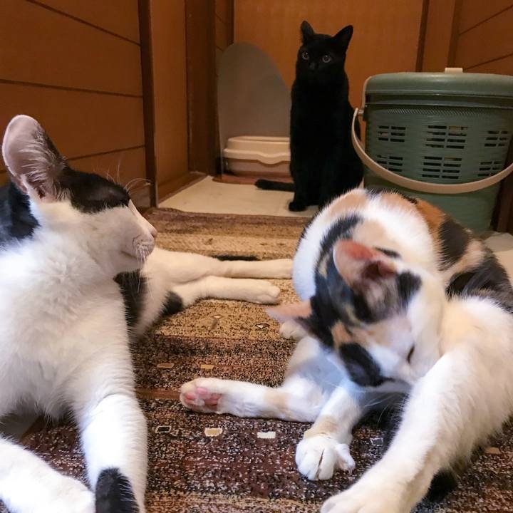 Ad9e28c3 d3e2 4e7e 984a 197ba00c3221