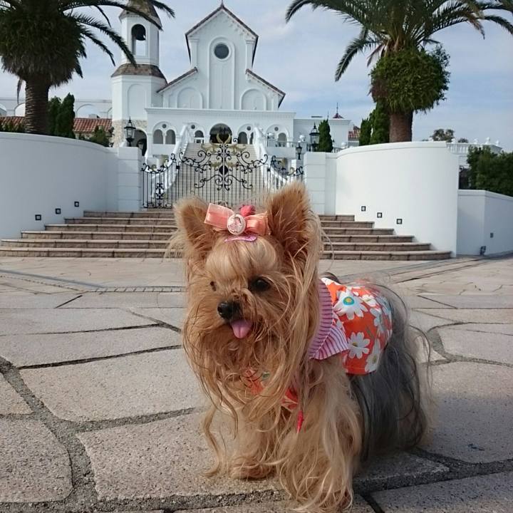 Ad9e7d20 c2a9 43d6 9b28 ee713a9a6bc9