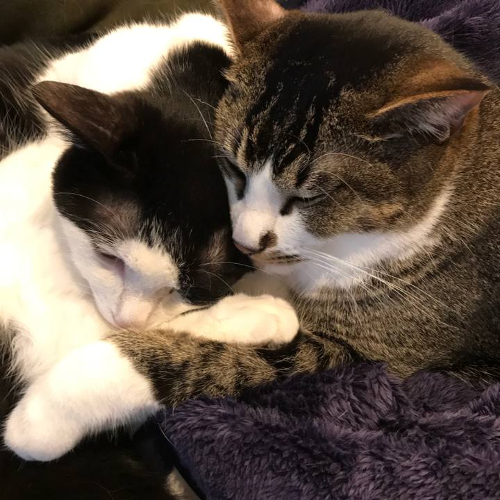 Ad9eafe2 6d7c 4d2e 8a7b 9f558762b277