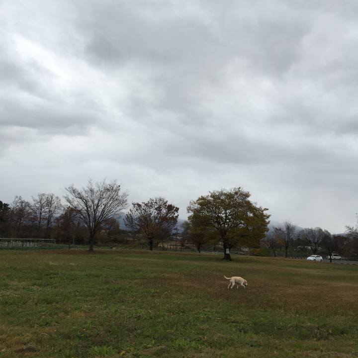 Ad9f833e 886e 4467 8070 d24932b37bdc