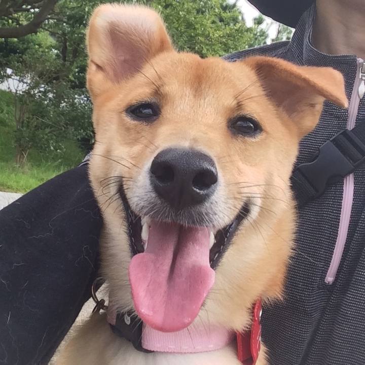 Ad9f9d32 f5ad 4c41 8d05 61068635a729