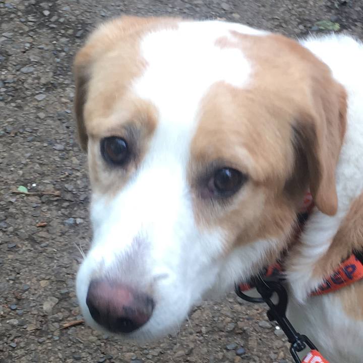 Ad9fe178 4490 4c9c abc7 d4078d09114a