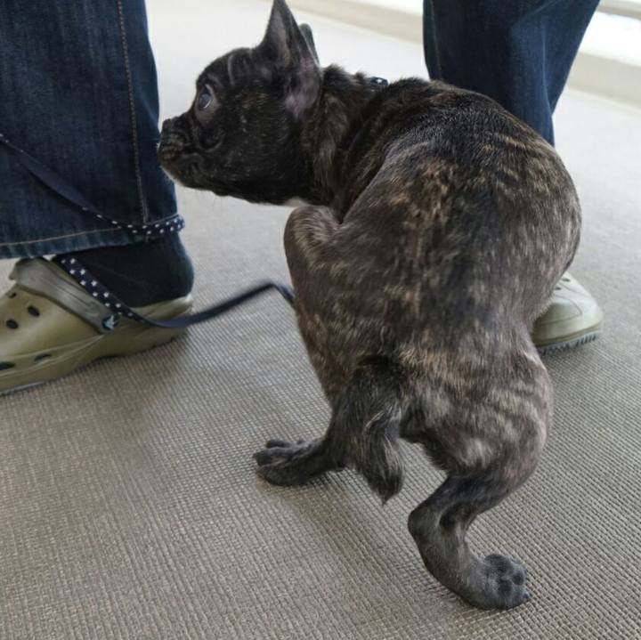 Ada02212 c674 42c9 80d2 2caa7a995f85