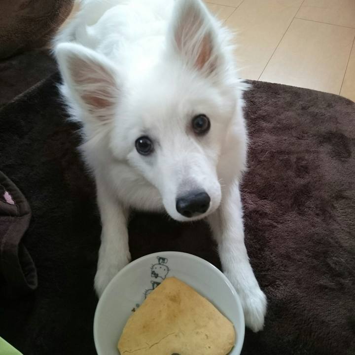 Ada03210 6e82 46b8 b8e2 5ef1ee81c71d