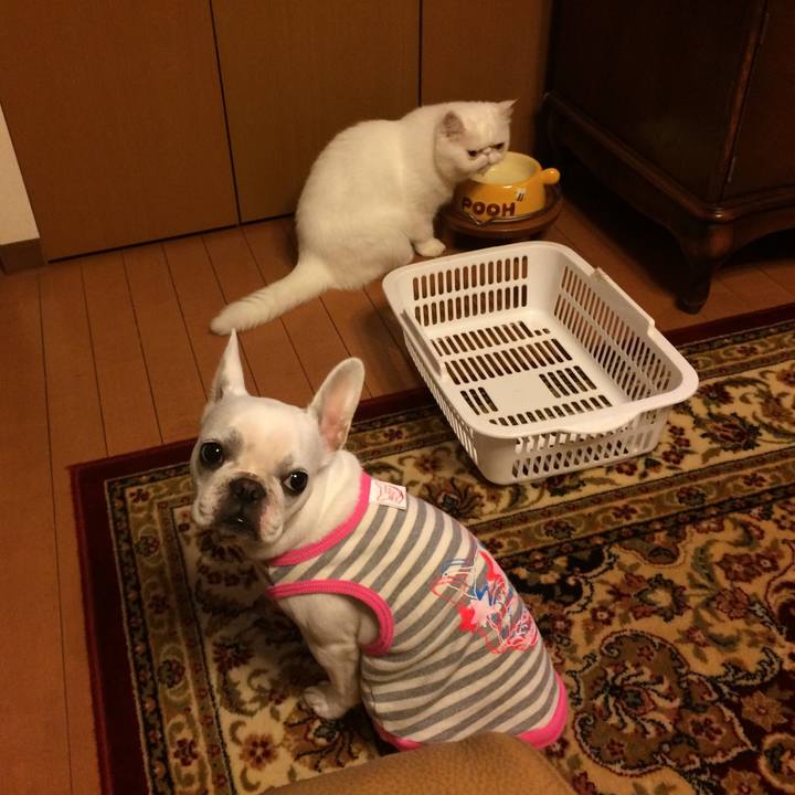 Ada116f9 7a5a 4c4d a45a 348a803b9be7