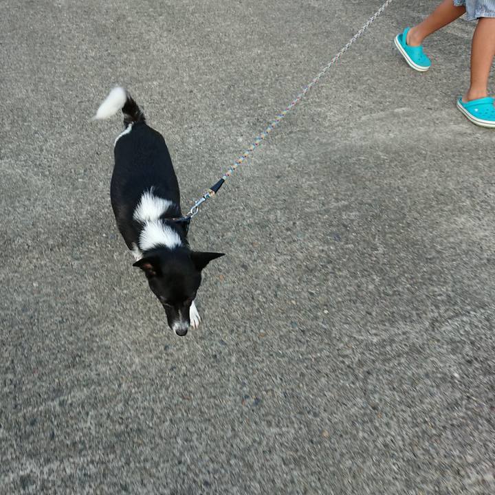 Ada1edca 45ef 4f50 a0b9 0969a982548a