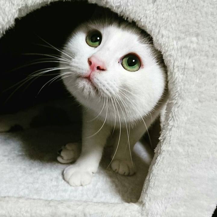 Ada23208 9fde 4c69 9602 b2a4d58bdb06