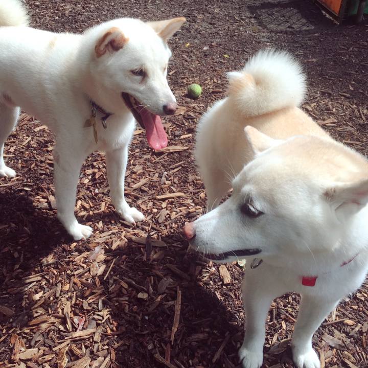 Ada270b6 1592 4814 8b60 9ab63a4014e5