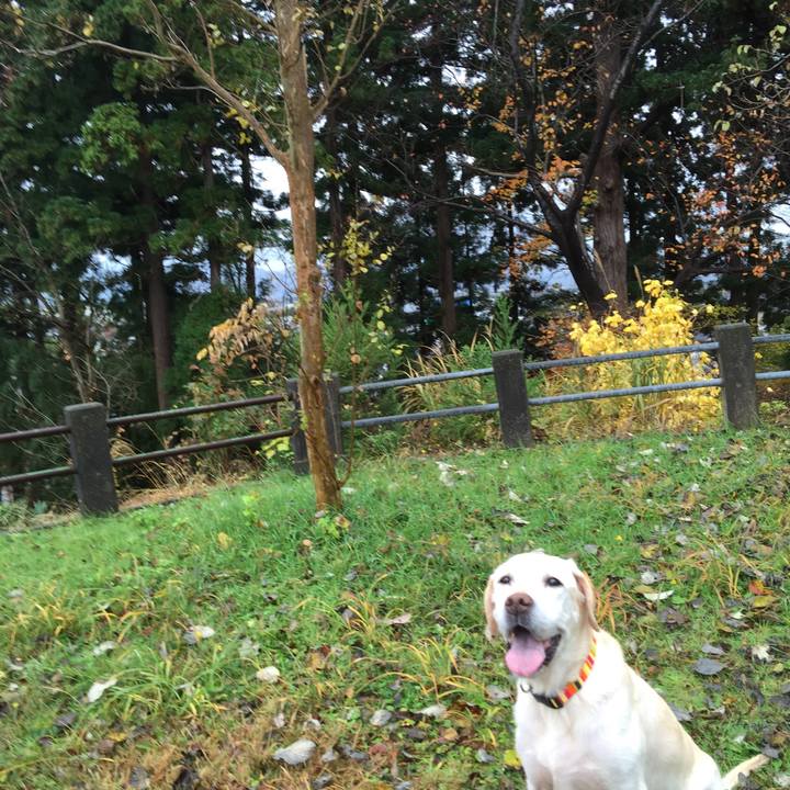 Ada31c4b 9bef 415d a110 d4d5a2eeb456