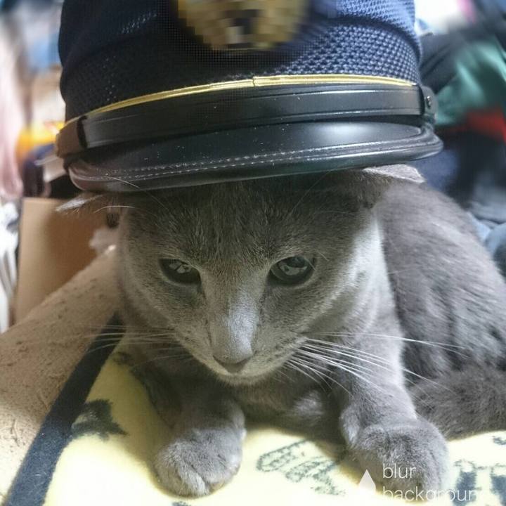 Ada328bd 75fc 4780 8502 f78a1da8b8a8