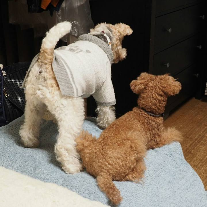 Ada34a90 eb16 4d87 b606 9cc7371f12b5