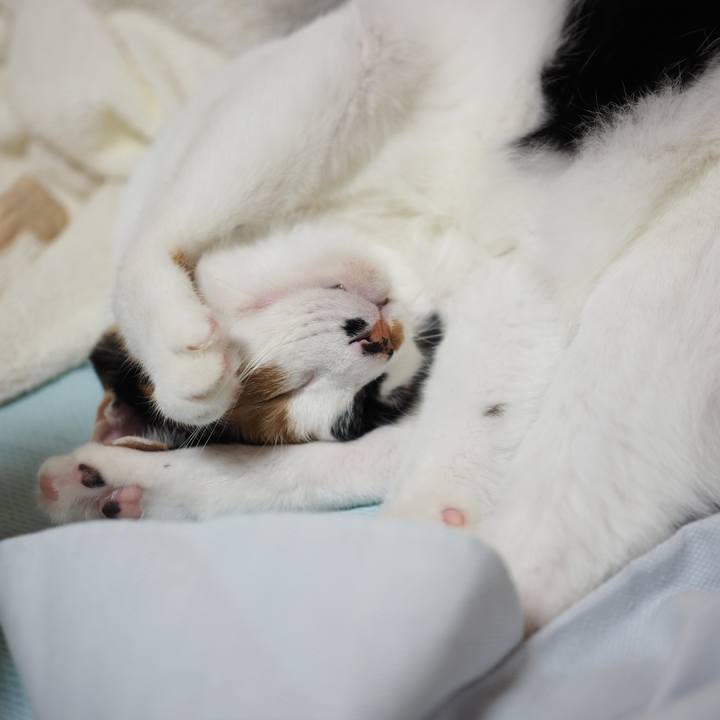 Ada3ee23 9a5c 4d8d a8d0 d1ad9619b01a