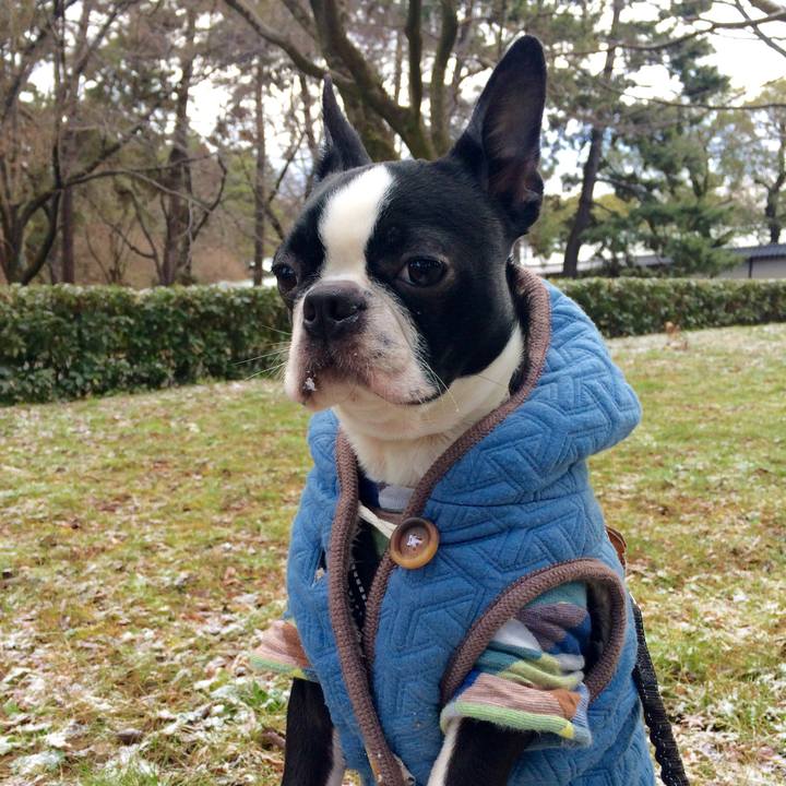 Ada54c30 8069 4223 8a74 93d229d0f77a