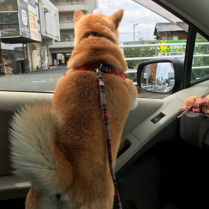 Ada5f01e 6a13 4c07 9c66 a67d0b7bec95