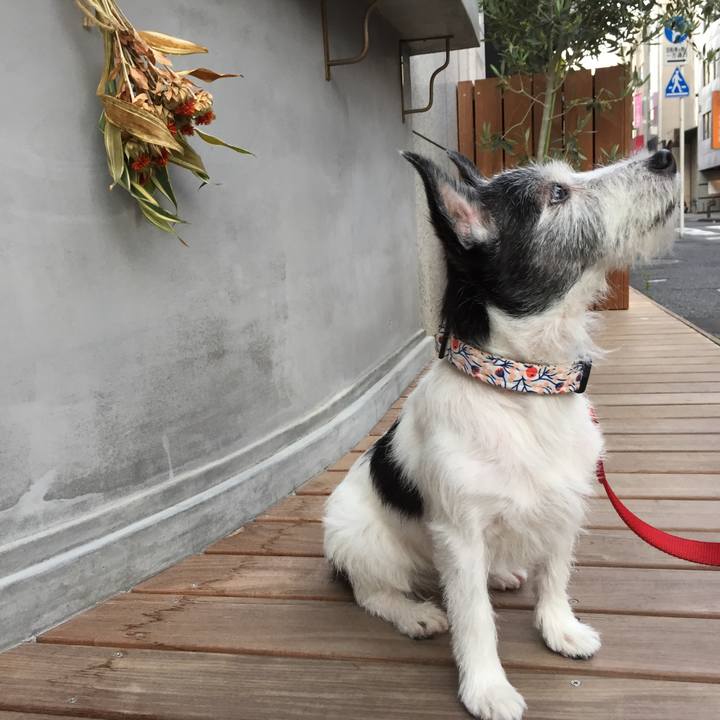 Ada603a8 6dcf 402d 92d6 c8e8f6176b41