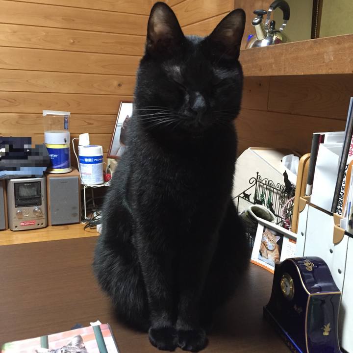 Ada61890 e2f9 4dbf bcc7 217cea6bd95d