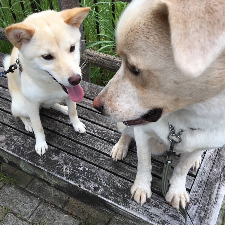 Ada63944 236e 4024 8051 75f7defc0088