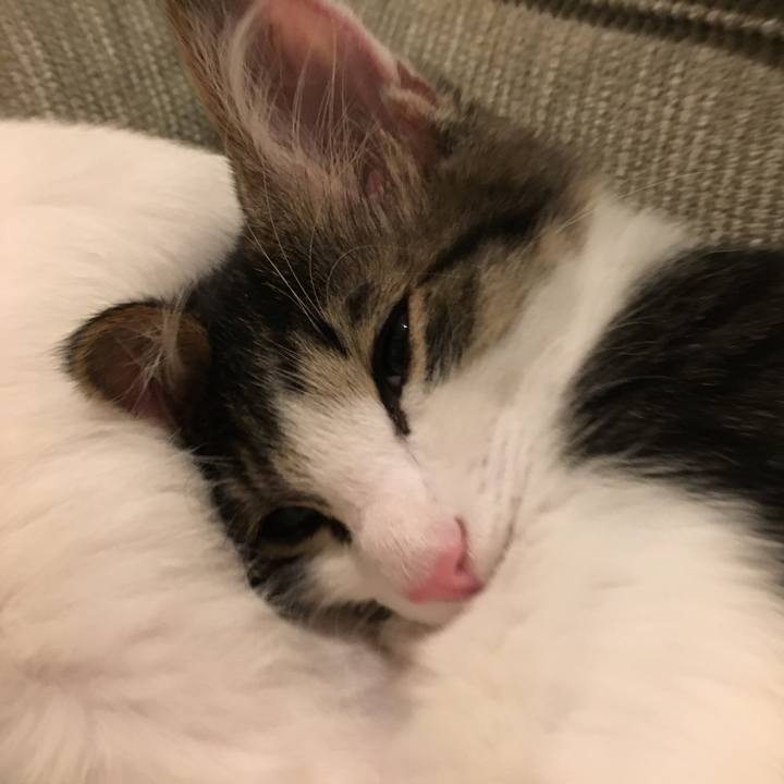 Ada6aaf3 89bc 454b a08c 9a3b299873ca