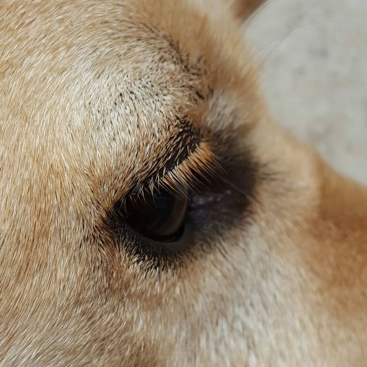 Ada6dae2 7ddc 4239 9b93 a12fe309a08a