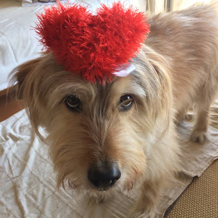 Ada72cba eac6 4315 810d ad91c57136d8