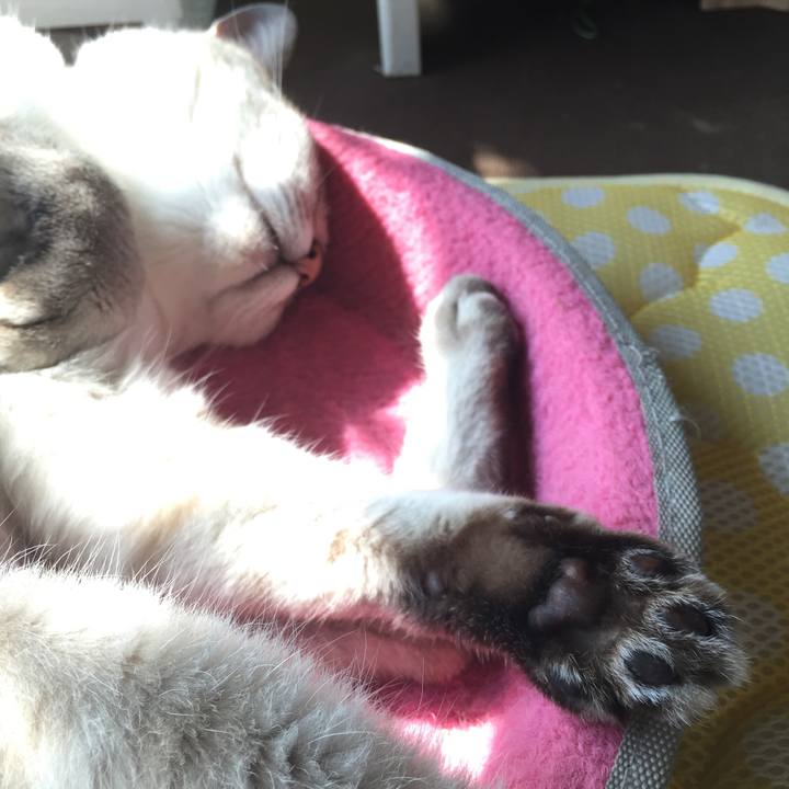 Ada753a0 37f4 4b16 95ad 3647c8e4699f