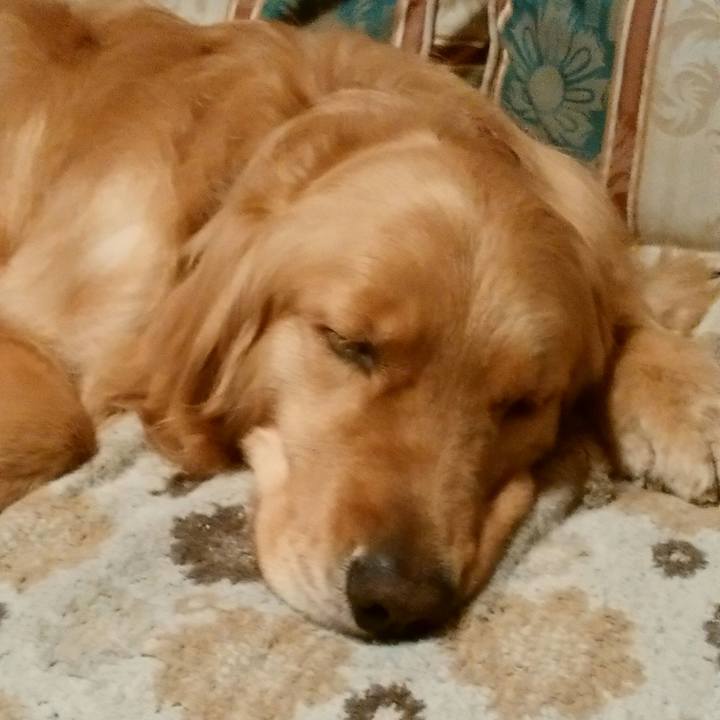 Ada81c78 6e14 4599 afbe 12623f08ae01