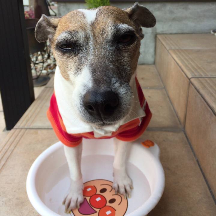 Ada8399f b3f2 4ef8 b55b 578df6bb5ddf