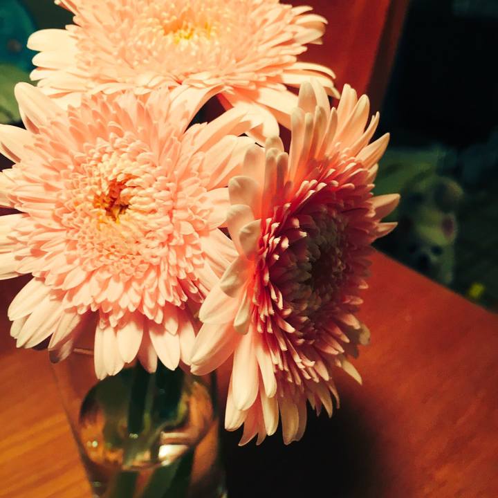 Ada98caa 9e91 432d 9a1f faef0af2accd