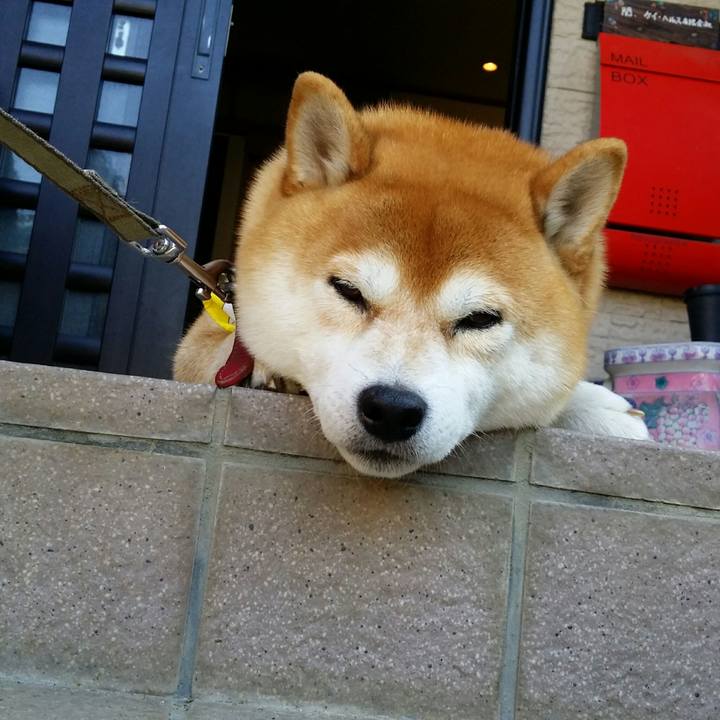 Ada9f036 4445 42dc adc1 f99fcaa6d5ac