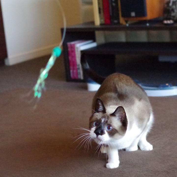 Adaa73dd 88bd 4479 8da1 aee9713776c7