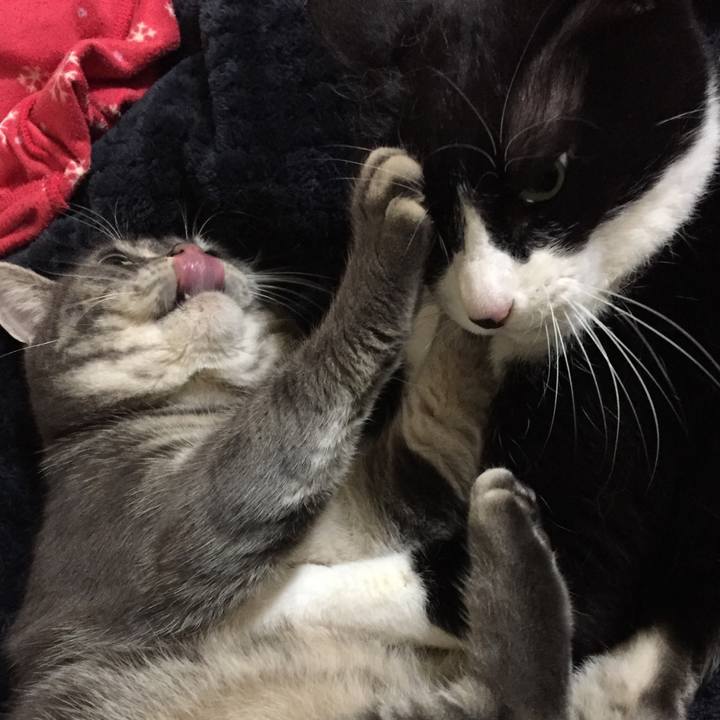 Adaae145 36fd 4dab 96bf 6496171e8e1b