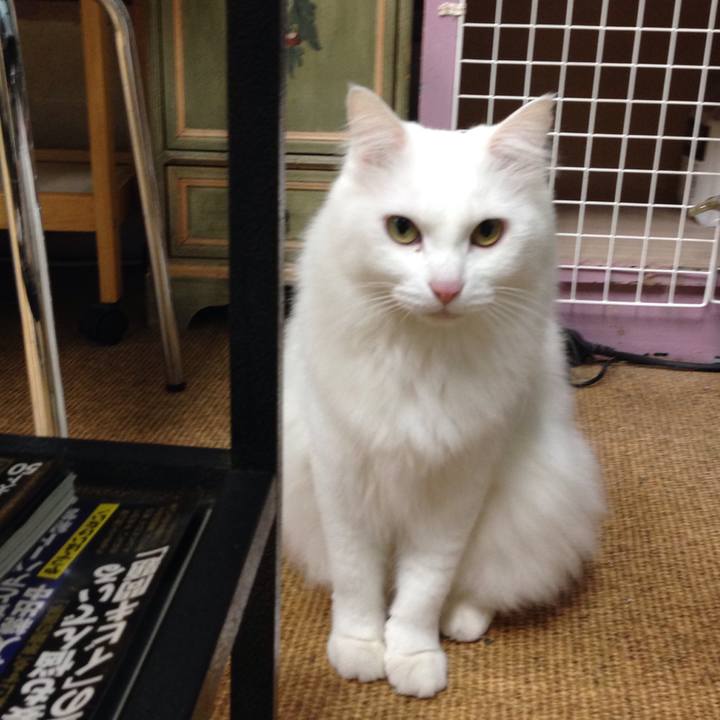 Adab7e8c f3ca 4017 ab7b 54b96a7226e5