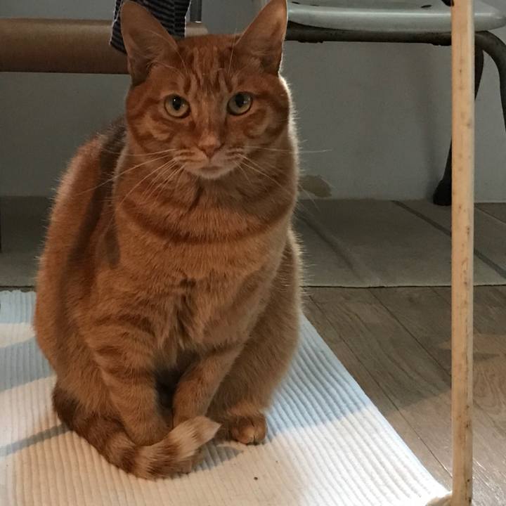 Adabd94f 20c8 43c6 b415 8151d5be3340