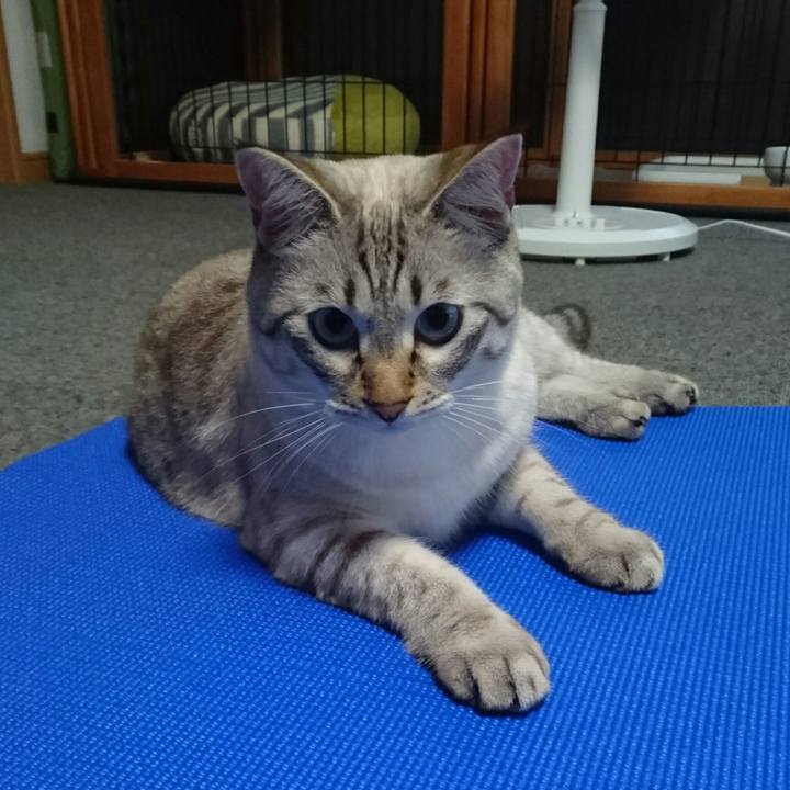 Adac0682 6a6c 4fb0 b55a 9bc2893f599c