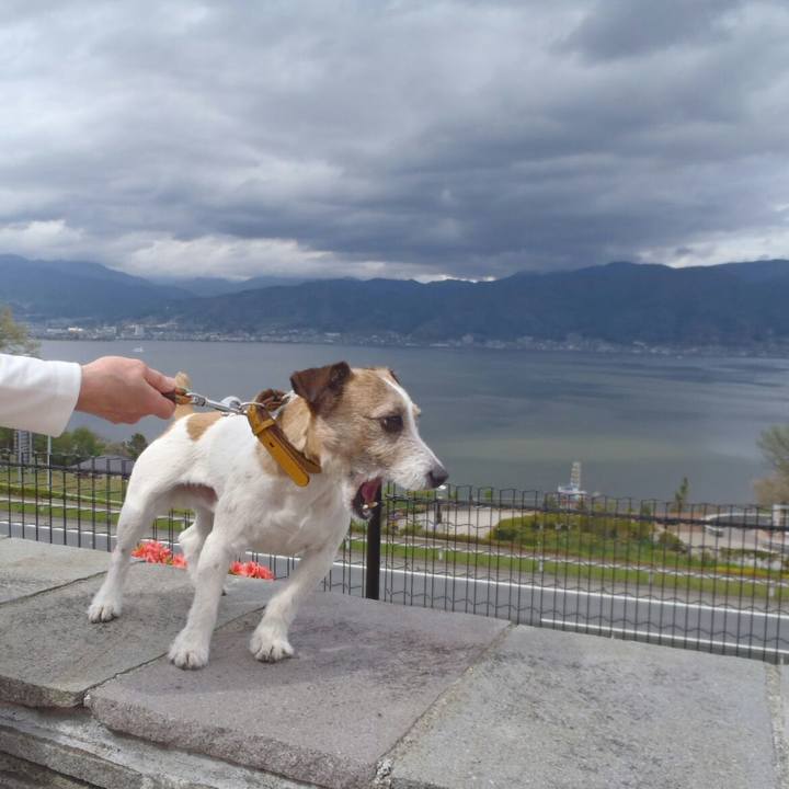 Adac0ef4 652f 4c8d a6f8 0361b3c53ffb