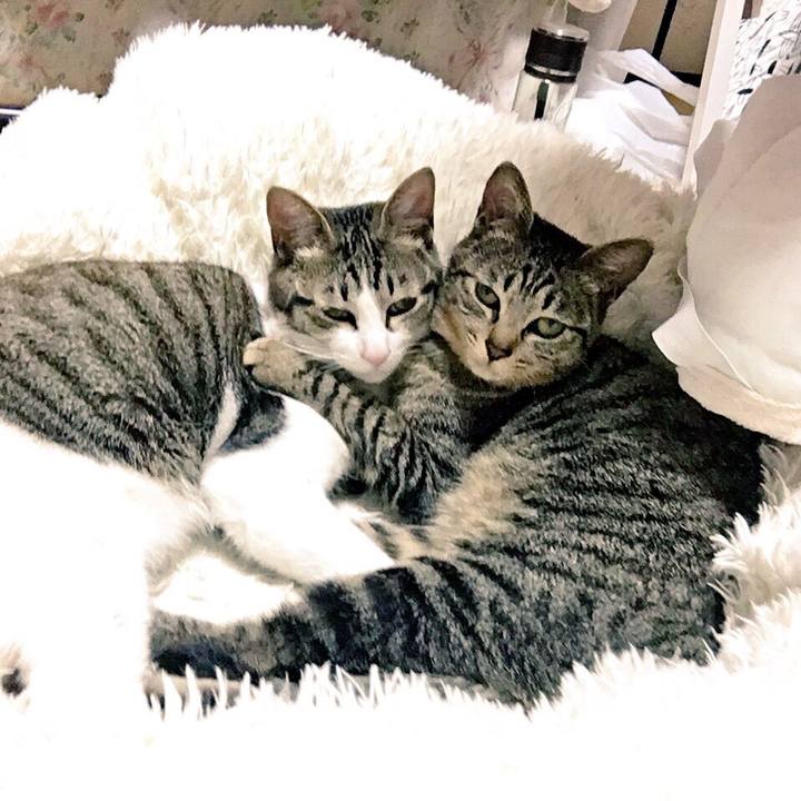 Adaca565 1229 45fd 9a45 40ec9a9c700d