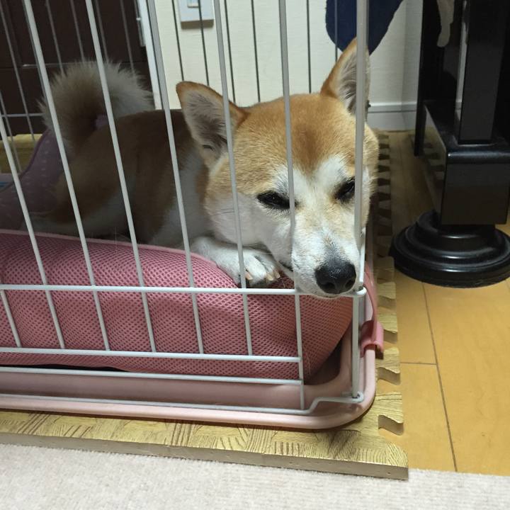 Adadb6ff 1160 4efa beb8 7a0ee64e9346