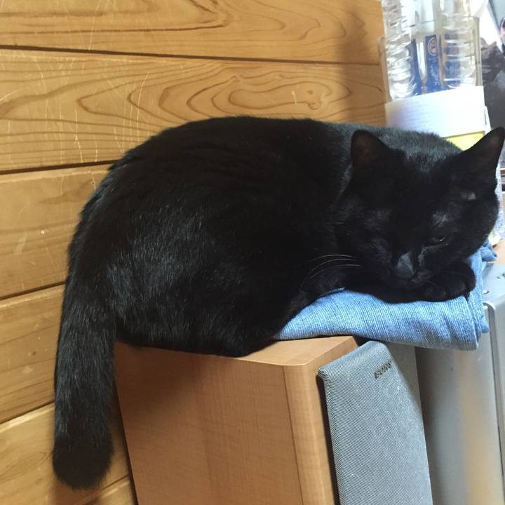 Adade681 e0e7 4d15 a053 0b7525d11626