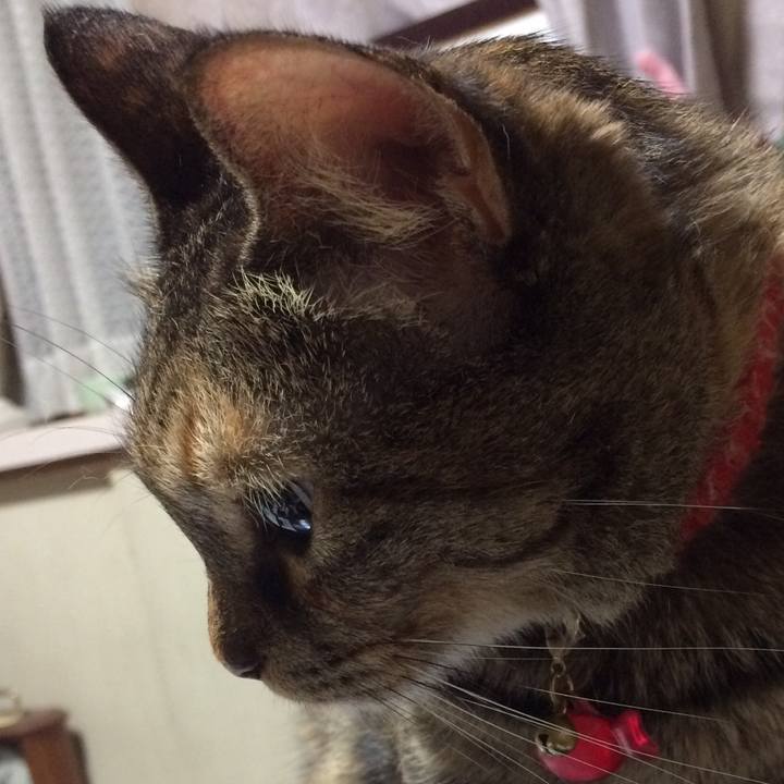 Adadff6d 5f3d 47e3 b198 4079a9488465