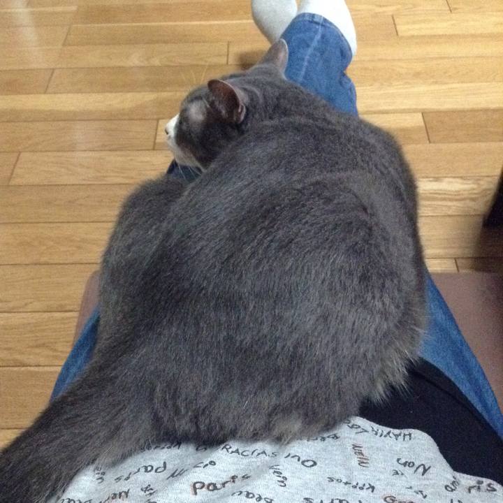 Adadffbd 2adf 4aaf b2bf 86d15b4fedbf